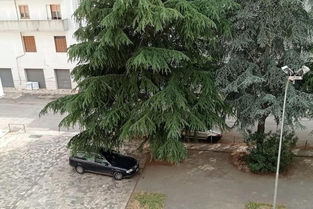 Appartamento Terrazza Bella Vista Чистернино Экстерьер фото